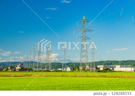《新潟県》田園風景に立つ送電線 129288155