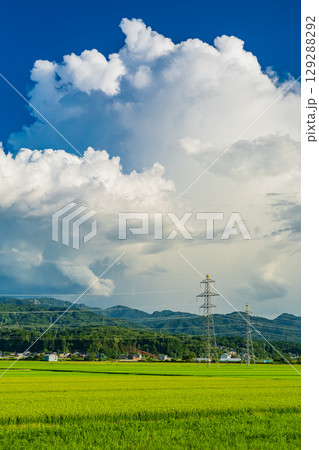 《新潟県》夏の田園風景・長岡の大地 129288292