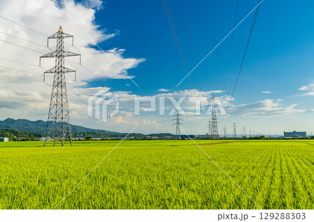 《新潟県》夏の田園風景・長岡の大地 129288303