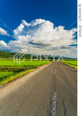 《新潟県》夏の田園風景・長岡の大地 《新潟県》夏の田園風景・長岡の大地 129288376