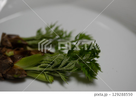 タラの芽 129288550