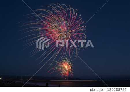 夏の夜空に咲く大輪の花 129288725