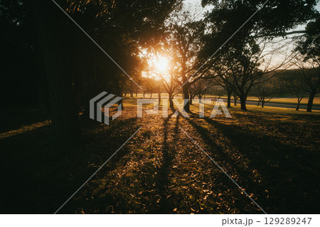 夕陽が沈みゆく秋の公園 夕陽が沈みゆく秋の公園 129289247