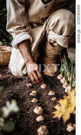A gardener diligently places bulbs into prepared soil while embracing the autumn ambience. Vibrant yellow leaves decorate the ground, signaling the fall season's arrival 129290060