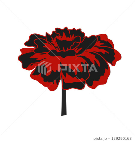 Marigold flower vector isolated illustration. Fall and Day of the Dead symbol icon. Black and red palette 129290168