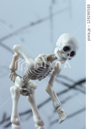Skeleton figurine is held its lower back. Radiculitis concept, chronic low backpain, vertebra illness 129290588
