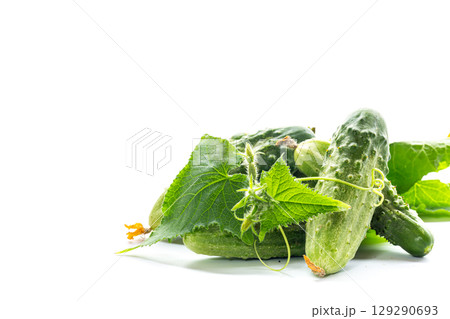 Young cucumbers with tendrils and flowers close-up for cooking Young cucumbers with tendrils and flowers close-up for cooking 129290693