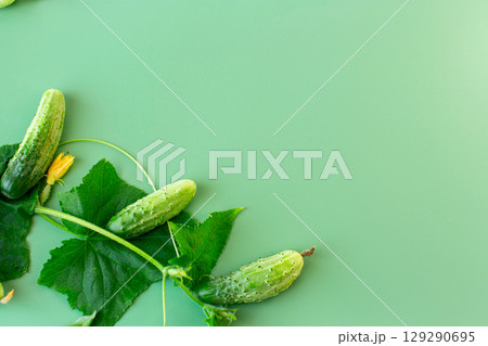 Crispy green cucumbers and leaves create a contrasting composition 129290695