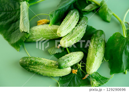 Vegetable composition cucumbers branches and flowers for culinary advertising Vegetable composition cucumbers branches and flowers for culinary advertising 129290696