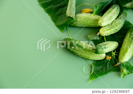 Healthy cucumbers with green tops are ideal for a diet menu Healthy cucumbers with green tops are ideal for a diet menu 129290697