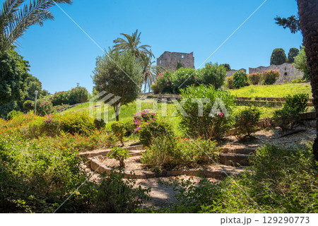 Landscaped medieval garden on the territory of the old town of Rhodes 129290773
