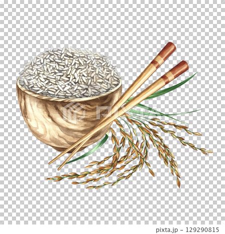 A wooden bowl with rice and chopsticks, next to rice stalks. Hand-drawn watercolor illustration. Used for menu design, recipes, and cookbooks. Used for banners, flyers, packaging, labels, and more. A wooden bowl with rice and chopsticks, next to rice stalks. Hand-drawn watercolor illustration. Used for menu design, recipes, and cookbooks. Used for banners, flyers, packaging, labels, and more. 129290815