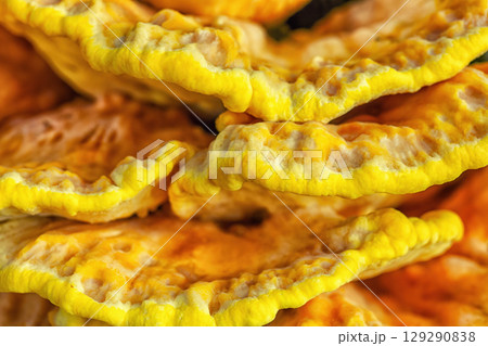 Yellow chicken of the woods mushroom grow close up, soft selective focus Yellow chicken of the woods mushroom grow close up, soft selective focus 129290838