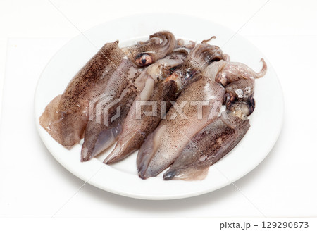 Fresh calamari 129290873