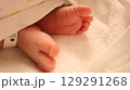 生後1日産まれたばかりの小さな足 129291268