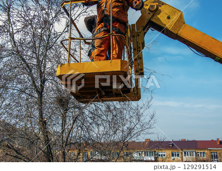 Utility workers stand with chainsaw in a crane basket and trim dangerous trees. Close-up Utility workers stand with chainsaw in a crane basket and trim dangerous trees. Close-up 129291514