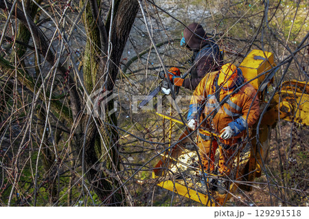 Municipal service workers stand with a chainsaw in crane basket and trim dangerous trees 129291518