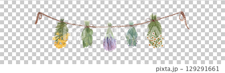 Different herbs drying hanging on a rope. Chamomile, blue tansy, lavender, sage, lemon balm watercolor isolated on white. High quality art for cards, packages, folk medicine recipes, herbal design Different herbs drying hanging on a rope. Chamomile, blue tansy, lavender, sage, lemon balm watercolor isolated on white. High quality art for cards, packages, folk medicine recipes, herbal design 129291661