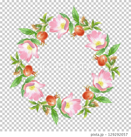Wreath of rosehip. Handmade watercolor art work. For packaging design, cards, cover, prints, product labels and fabric. 129292057