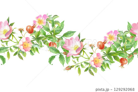 Seamless border of rosehip. Handmade watercolor art work. For packaging design, cards, cover, prints, product labels and fabric. 129292068