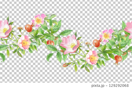 Seamless border of rosehip. Handmade watercolor art work. For packaging design, cards, cover, prints, product labels and fabric. 129292068
