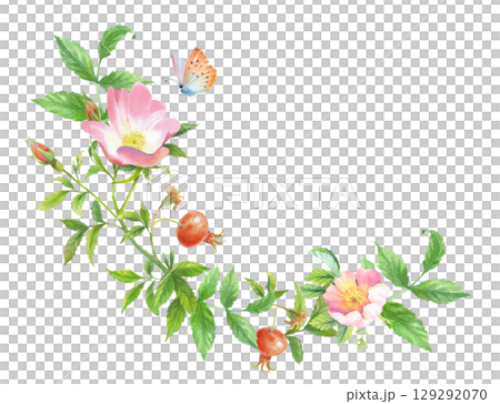 Wreath of rosehip. Handmade watercolor art work. For packaging design, cards, cover, prints, product labels and fabric. 129292070