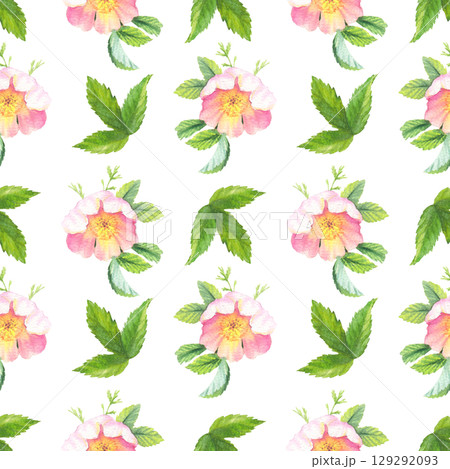Seamless pattern of rosehip. Handmade watercolor art work. For packaging design, cards, cover, prints, product labels and fabric. 129292093