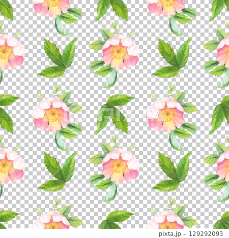 Seamless pattern of rosehip. Handmade watercolor art work. For packaging design, cards, cover, prints, product labels and fabric. 129292093