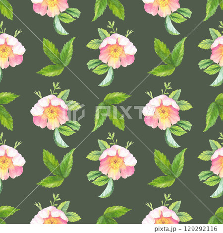 Seamless pattern of rosehip. Handmade watercolor art work. For packaging design, cards, cover, prints, product labels and fabric. 129292116