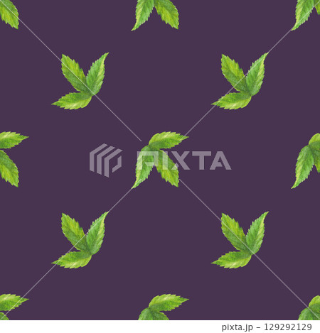 Seamless pattern of rosehip leaves. Handmade watercolor art work. For packaging design, cards, cover, prints, product labels and fabric. 129292129
