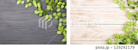 Fresh green hop cones on black and light wooden background. Ingredient for beer production. Top view with copy space for your text 129292179