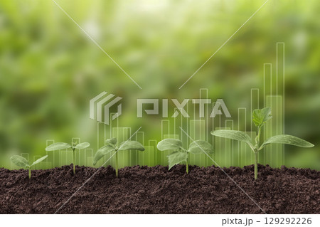 Plant growth evolution from seed to sapling. Young green seedling are growing from the rich soil in sunlight. Business growth, success, development and profit. Ecology and business concept. 129292226