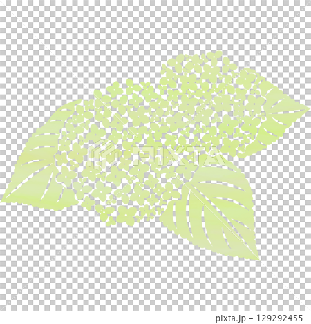 Beautiful watercolor pattern of hydrangea icon image illustration 129292455