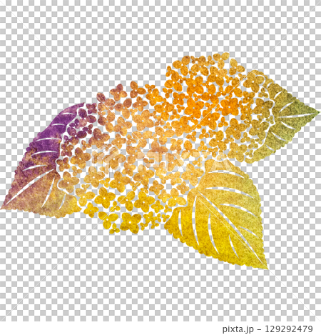 Beautiful watercolor pattern of hydrangea icon image illustration 129292479