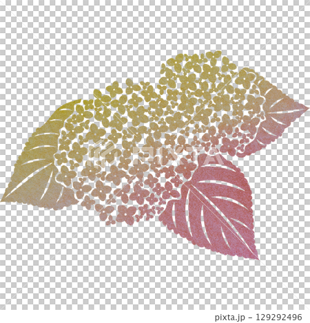 美麗的繡球花圖示圖像插圖的水彩圖案 129292496