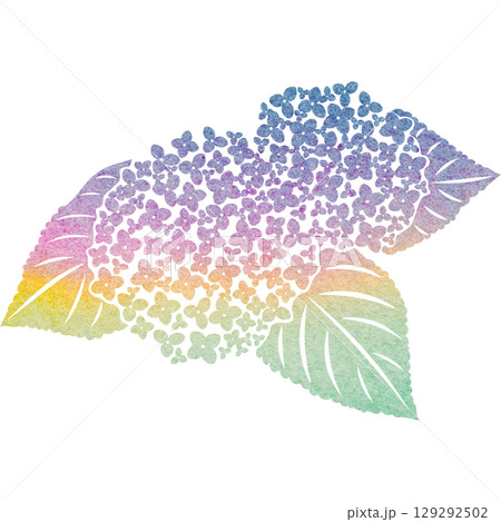 綺麗な水彩模様のアジサイのアイコンのイメージのイラスト 129292502