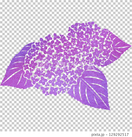 綺麗な水彩模様のアジサイのアイコンのイメージのイラスト 129292517