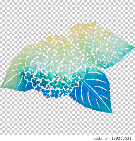 美麗的繡球花圖示圖像插圖的水彩圖案 129292521