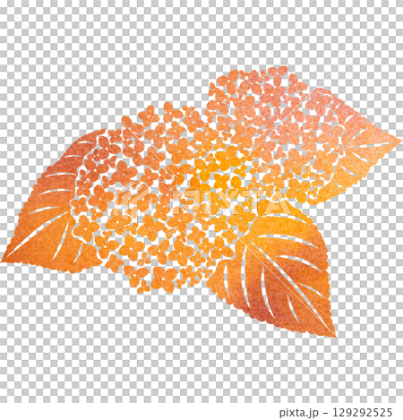 Beautiful watercolor pattern of hydrangea icon image illustration Beautiful watercolor pattern of hydrangea icon image illustration 129292525