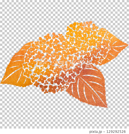 美麗的繡球花圖示圖像插圖的水彩圖案 美麗的繡球花圖示圖像插圖的水彩圖案 129292526