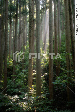 真夏の登山風景 129294483