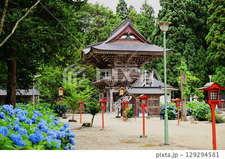アジサイが満開 音羽山 清水寺 129294581