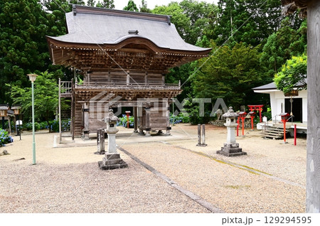 アジサイが満開 音羽山 清水寺 129294595