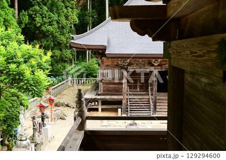 アジサイが満開 音羽山 清水寺 アジサイが満開 音羽山 清水寺 129294600