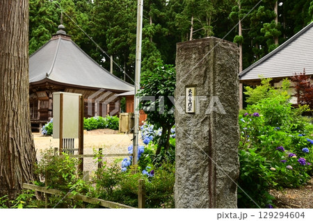 アジサイが満開 音羽山 清水寺 アジサイが満開 音羽山 清水寺 129294604