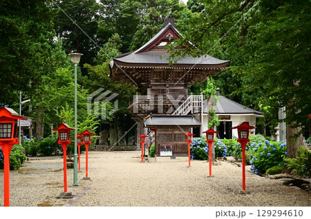 アジサイが満開 音羽山 清水寺 129294610