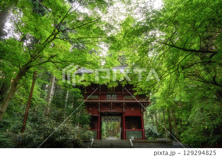 御岩神社 御岩神社 129294825