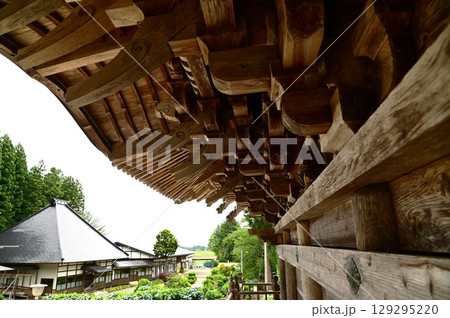 アジサイが満開 音羽山 清水寺 アジサイが満開 音羽山 清水寺 129295220