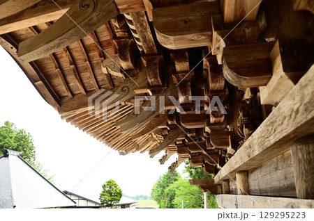 アジサイが満開 音羽山 清水寺 アジサイが満開 音羽山 清水寺 129295223