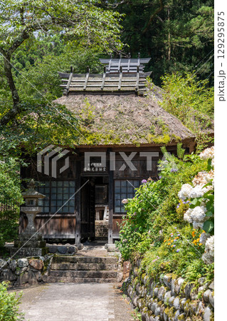 夏の日向見薬師堂 群馬県四万温泉 夏の日向見薬師堂 群馬県四万温泉 129295875